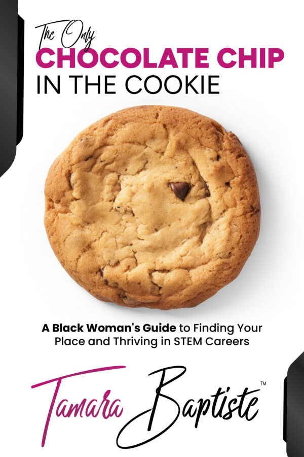 The Only Chocolate Chip in the Cookie - Image 2